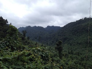 Phong Nha-004